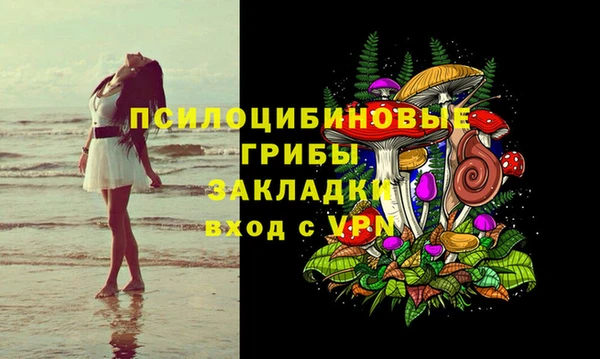 спиды Медногорск